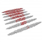 lightcone3